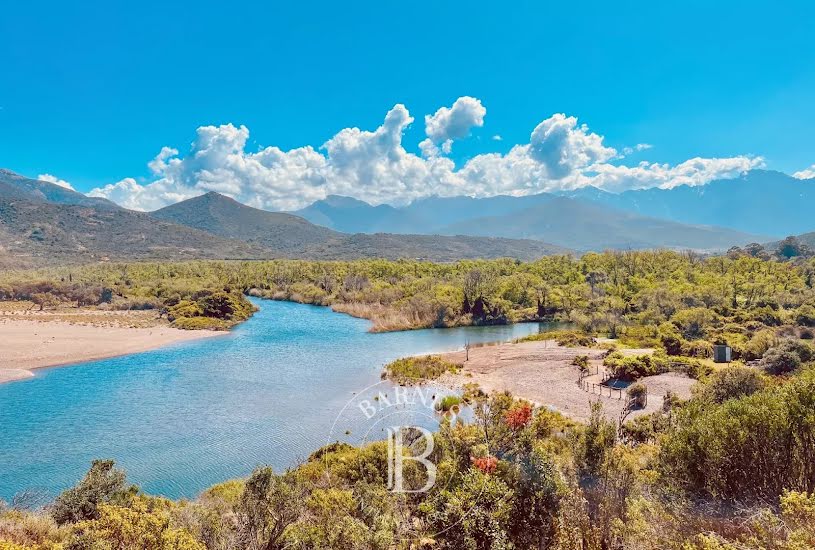  Vente Terrain à bâtir - à Calvi (20260) 