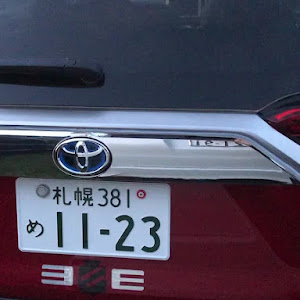 RAV4 AXAP54