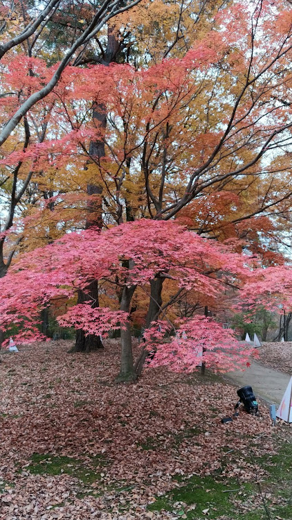 の投稿画像8枚目