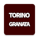 Torino Granata Download on Windows