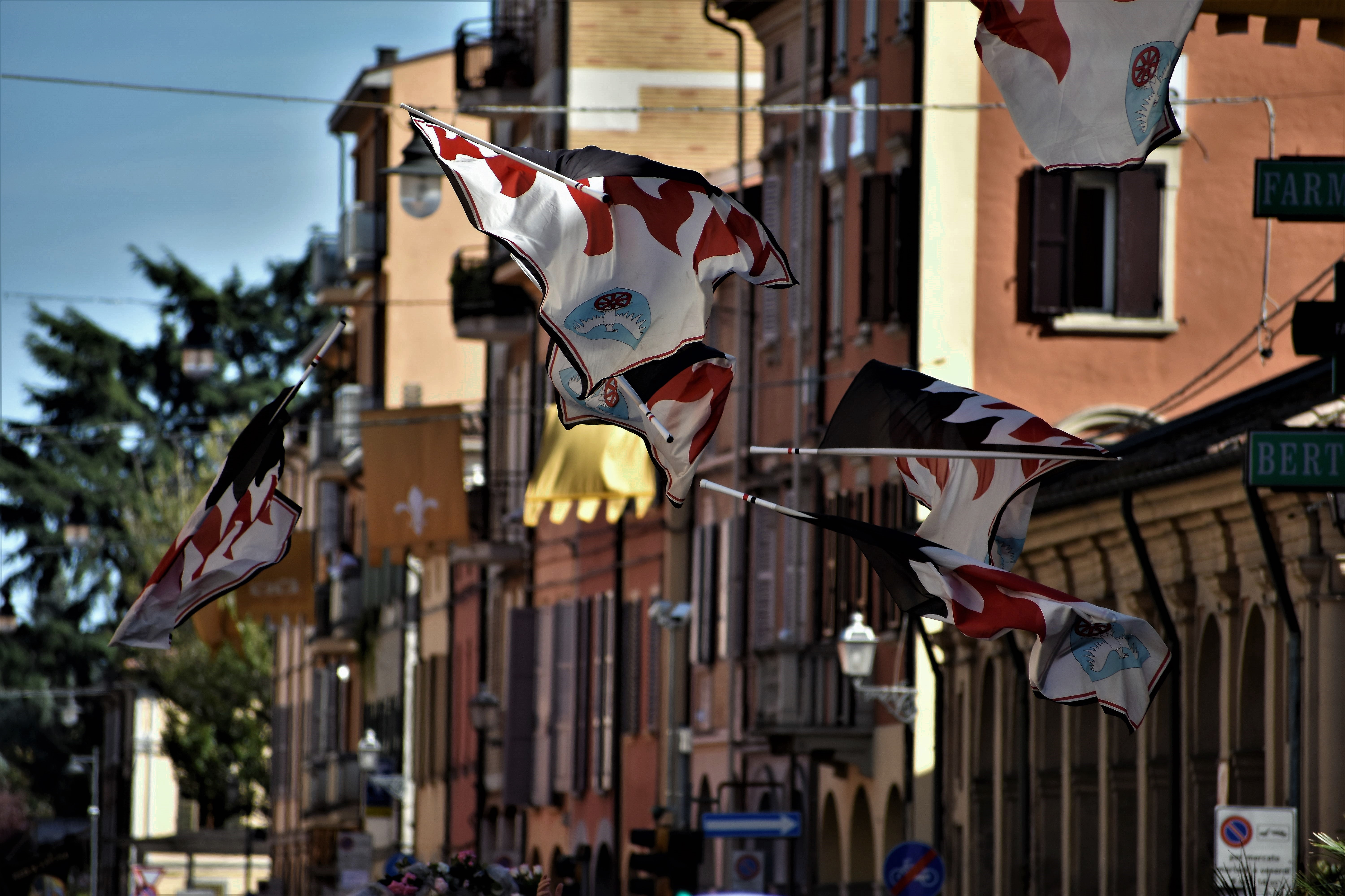 Paese in festa di paolomole