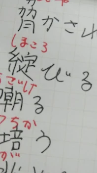 「濮の日常」のメインビジュアル