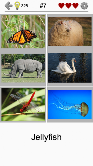 Easy Pictures - Photo-Quiz with 5 Different Topics Captura de tela 12