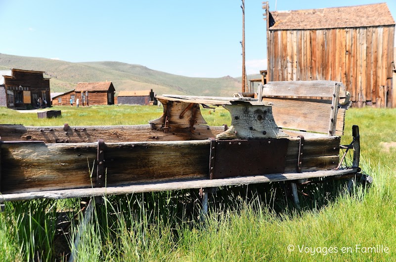 Bodie