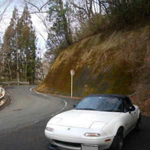 ロードスター NA6CE