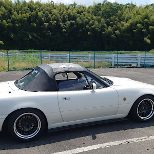 ロードスター NA8C