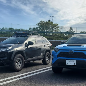 RAV4 MXAA54