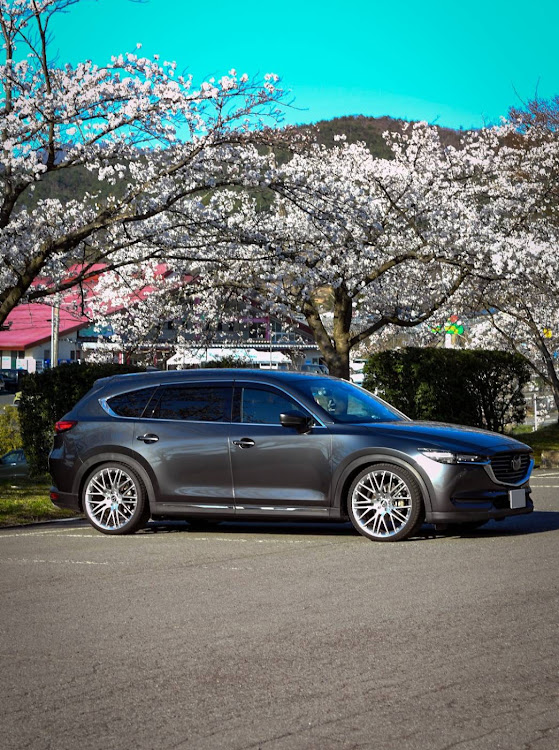 CX-8のCX-8・桜吹雪・サクラと愛車に関するカスタム事例の投稿画像2枚目