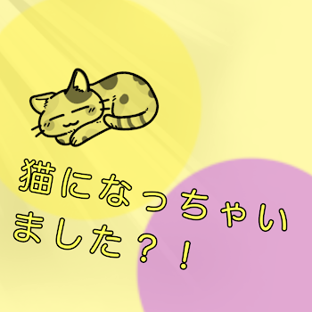 猫になっちゃいました？！