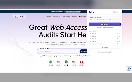 Zylyn Accessibility Scanner screenshot 2