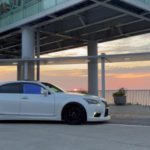 LS UVF45