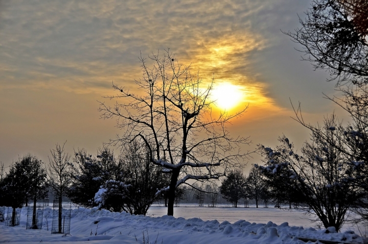 SOLE d'INVERNO di Acamuca