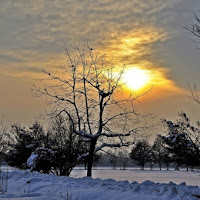 SOLE d'INVERNO di 