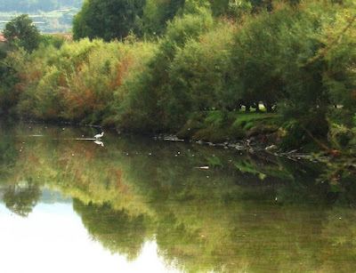 Specchio d'autunno di orni