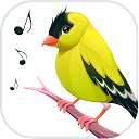 ダウンロード Bird Calls, Sounds & Ringtones をインストールする 最新 APK ダウンローダ