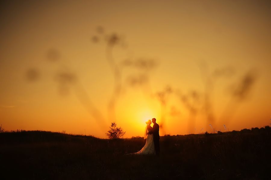 Fotógrafo de bodas Olga Andreeva (aola). Foto del 28 de septiembre 2015