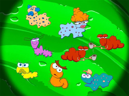 Freddi Fish 5 The Creature of Coral Cove