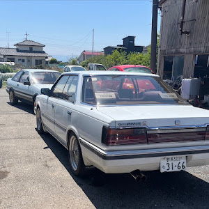 グロリア