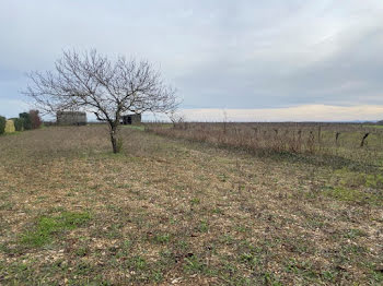 maison neuve à Echallat (16)