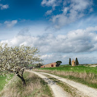 Primavera alla Cappella della Madonna di Vitaleta di Andri55