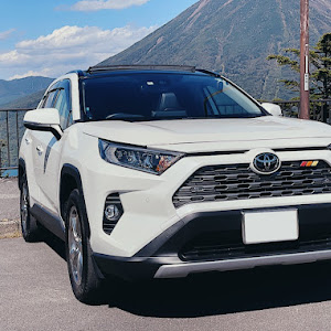 RAV4 MXAA54