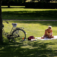 Picnic ad Amalienborg di 