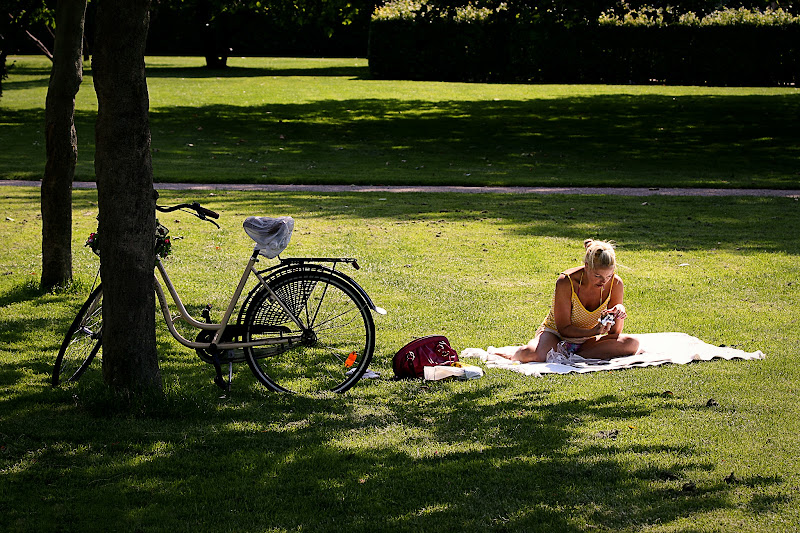 Picnic ad Amalienborg di Maximus57