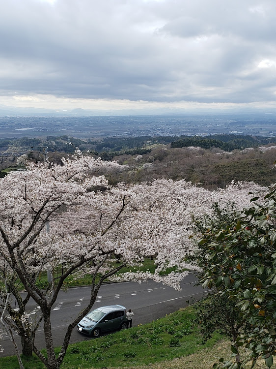 の投稿画像3枚目