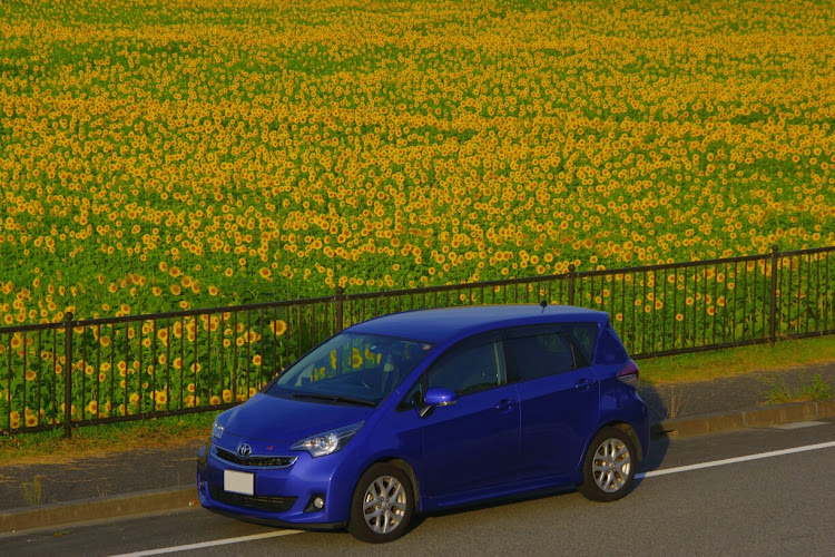 ラクティスの20万km・ひまわり・近鉄特急・エヌワンオーナーズカップに関するカスタム事例の投稿画像1枚目