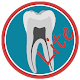 Download Dental Corpus PRIMARY Lite For PC Windows and Mac 1.0