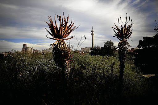 The park was named The Wilds because of its location along the untamed koppies.