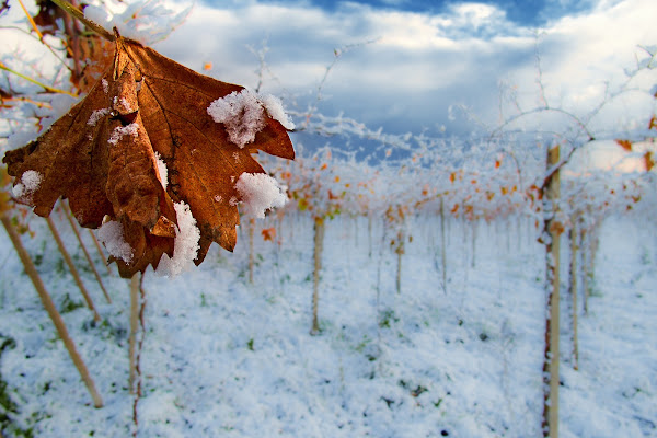 Il generale inverno di prometeo