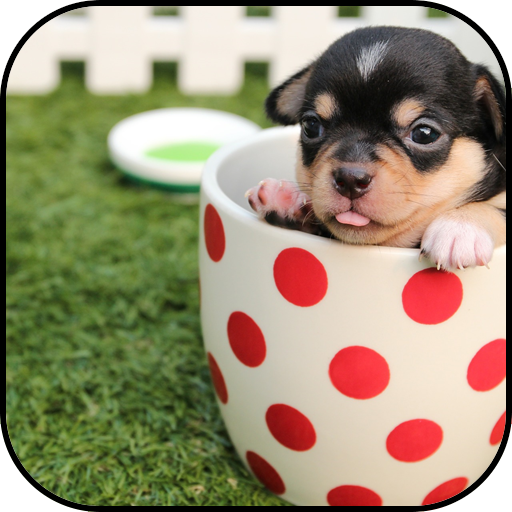 かわいい犬の壁紙と背景 Google Play のアプリ