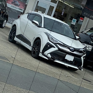 C-HR ZYX11