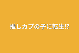 推しカプの子に転生⁉