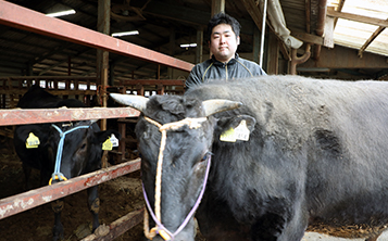 淡路ビーフ - 肉・肉加工品