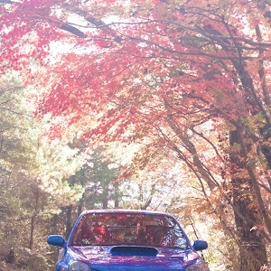 インプレッサ WRX STI GDB