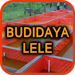 Cover Image of Download Budidaya Ikan Lele Terpal 1.4.0 APK