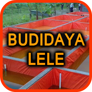 Download Budidaya Ikan Lele Terpal For PC Windows and Mac