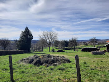 terrain à Saint-Mamet-la-Salvetat (15)