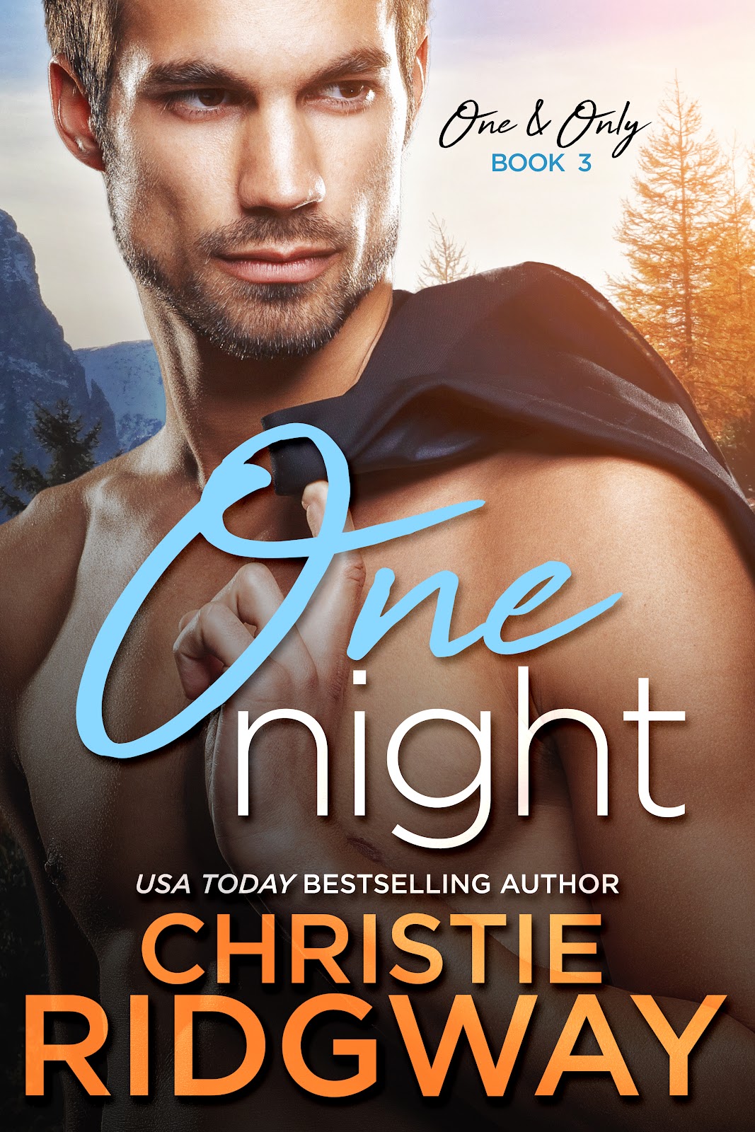 One Night - Ebook.jpg