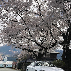 シルビア S15