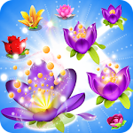 Blossom Crush Mania Apk