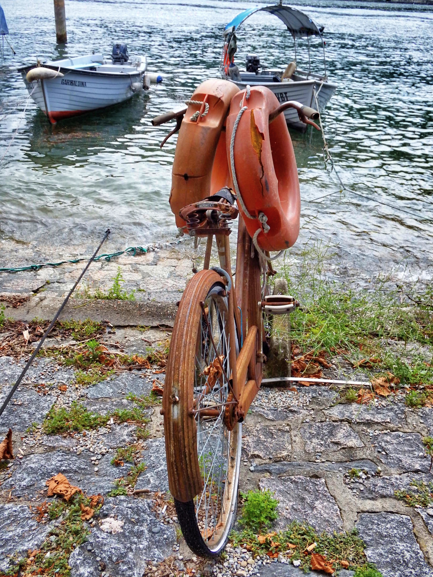 When a old bicycle became art di Angy_photo