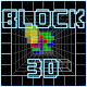 Block 3D