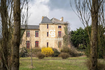 château à Le Mans (72)