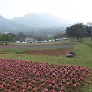 大溪花海農場