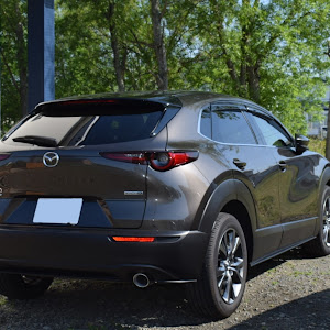 CX-30 DMFP