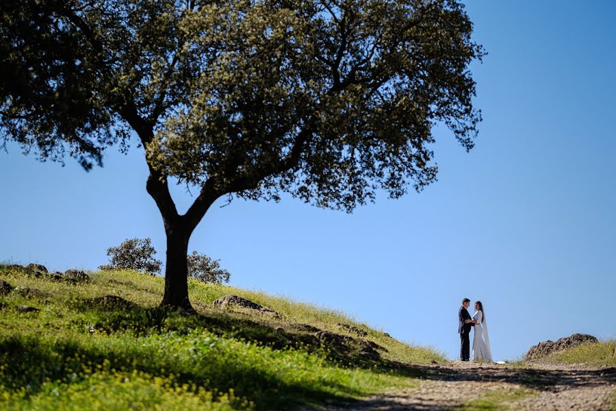 Wedding photographer Alberto Parejo (parejophotos). Photo of 26 March 2017