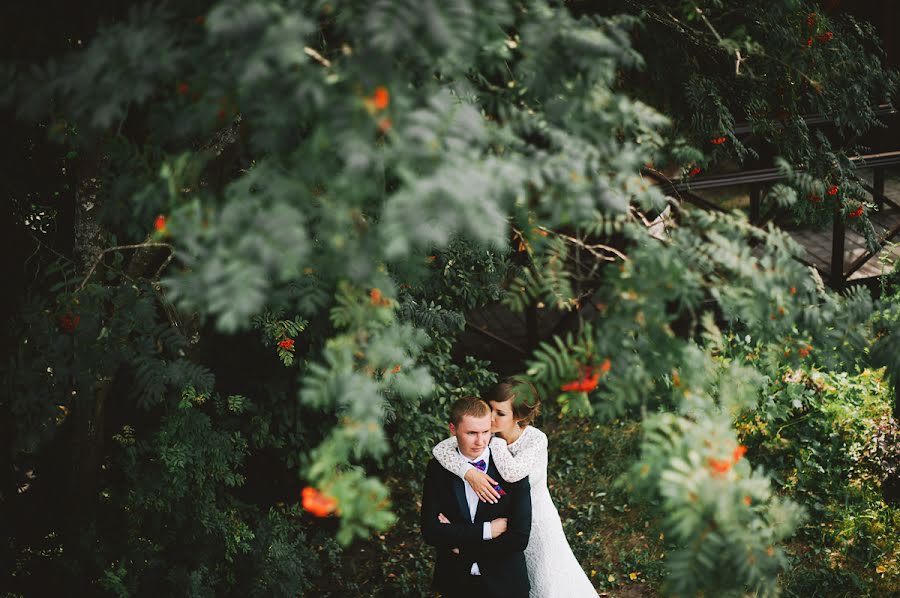 Fotografo di matrimoni Denis Komarov (komaroff). Foto del 22 dicembre 2014